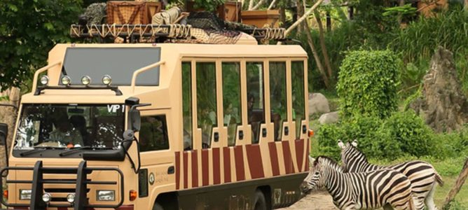 Bali With Safari Package