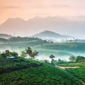 Kerala Wayanad Package